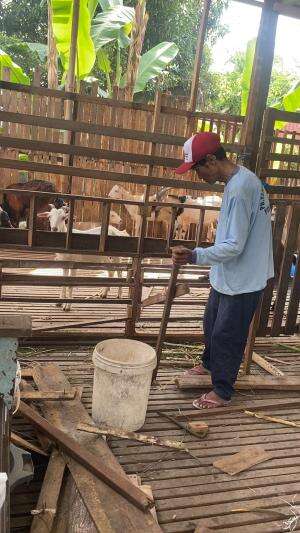 Dandan dandan kandang kambing untuk wadah pakan biar tidak ambrol rusak 2025