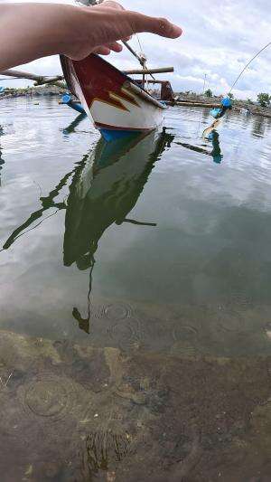 cara mudah nangkap udang #udang #nelayan #laut #jaring #ikan #fbpro #reels #reelsviral #duniaikan #skils #fyp #trending