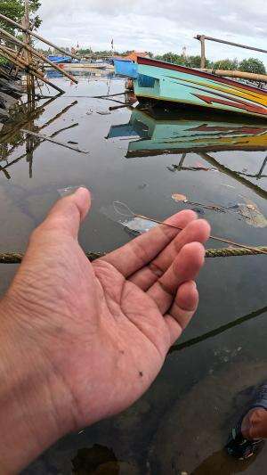 menangkap udang pake cara orang tua jaman dulu 