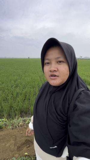Piye lur wes panen durung  #fyp  #fypシ゚viral  #fypシ 