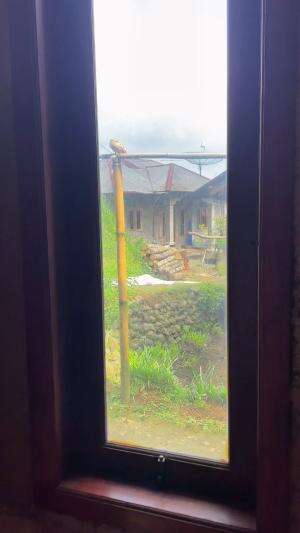 Menemukan burung liar yang terjebak