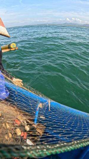 udang jambu masih segar