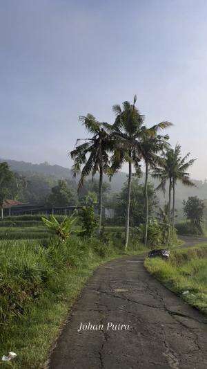 Desa dan kearifan lokalnya  #RCTIPlus  #desa  #wisata  #alam  #bantul  #natural  #jogja  #visitindonesia 