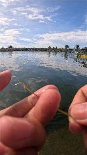 tutorial mancing udang #udang #nelayan #laut #jaring #ikan #fbpro #reels #reelsviral #duniaikan #skils #fyp #trending