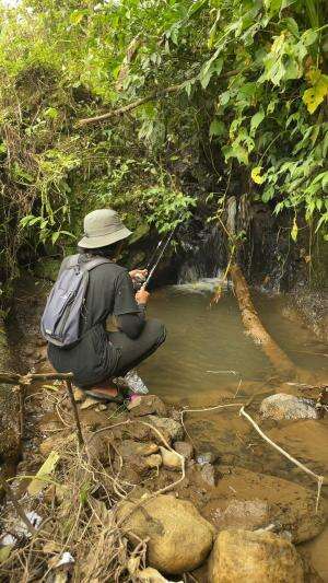 Spot mancing tersembunyi yang masih banyak ikannya