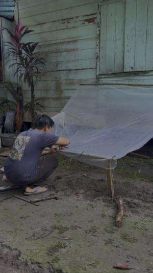 Persiapan kebun mini garden?