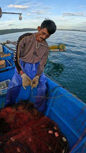 berburu udang bersama bapak