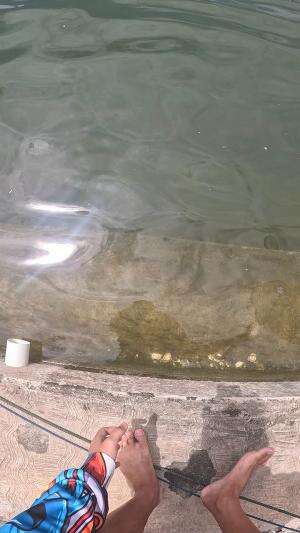 sebagian melarikan diri 🦐😂 #usa #usareels #newyork #germany #fyp #australia #luksemburg #ingris #belanda #skils #shrimp #fisherman #selandia