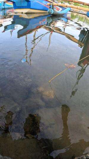 menangkap udang dengan cara tradisional 