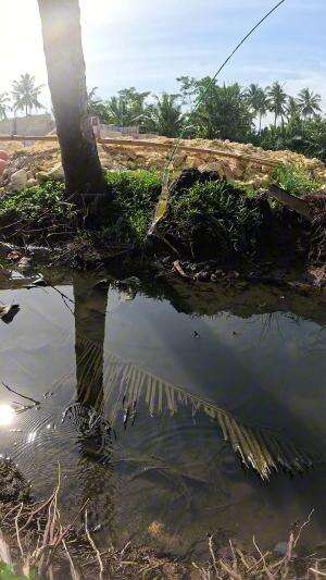 nangkap udang pake alat sederhana 