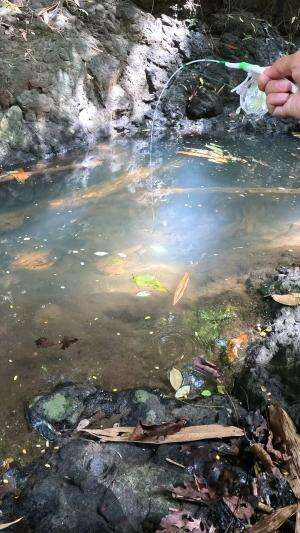 micro fishing #fishing #shrimp #fish #sea #traditional #usareels #UnitedStates #reelsviral #skils #fyp #trending