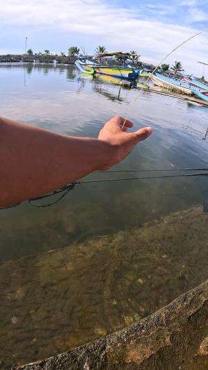 segerombolan udang #mancing #fishing #shrimp #udang #nelayan #laut #jaring #ikan #reelsviral #animals #skill #fyp #trending