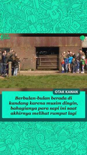 Bahagianya nular sampe sini 😍😍😍