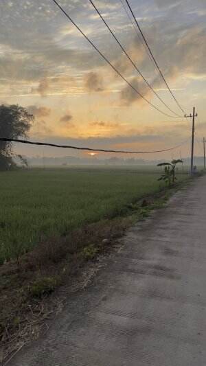 Sunset di Desa payaman lurr jan cakep banget #konten #video #pedesaan #viral #jedamergawe  #fyp  #RCTIPlus  #HOTrctiplus  #rctiofficial  #RC