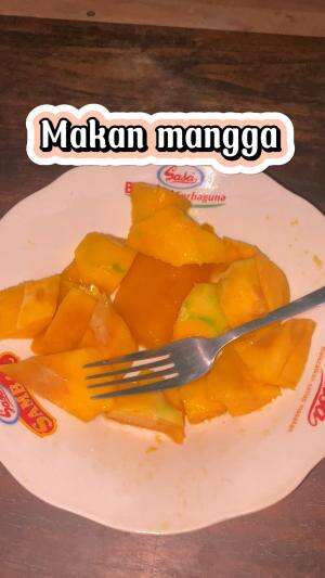 Makan mangaa 