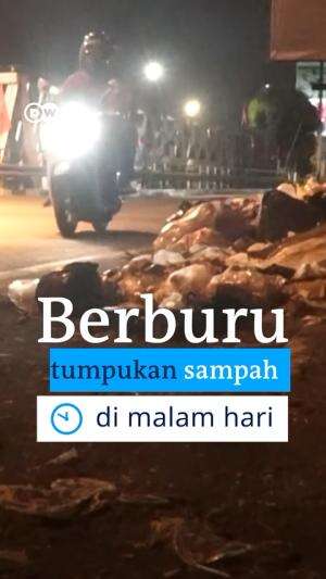 Berburu tumpukan sampah di malam hari. #DWnesia