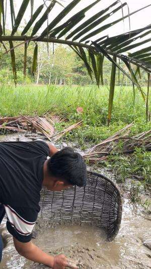 Ikan hampir kekeringan 