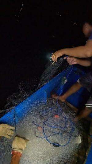 dapet ikan layur #udang #nelayan #laut #jaring #ikan #fbpro #reels #reelsviral #duniaikan #skils #fyp #trending