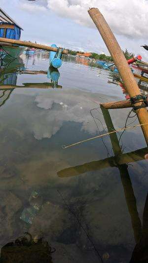 dapat lumayan babon #udang #nelayan #laut #jaring #ikan #fbpro #reels #reelsviral #duniaikan #skils #fyp #trending