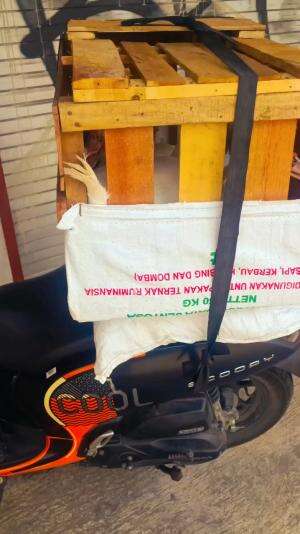 Alhamdulillah otw Riau via HD Transport #peternakmuda #menthokjumbo #muscovyduck