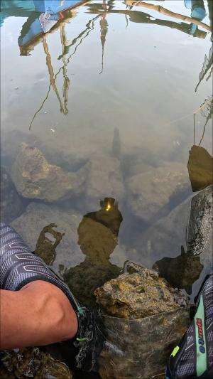 sangat gampang nangkap udang 