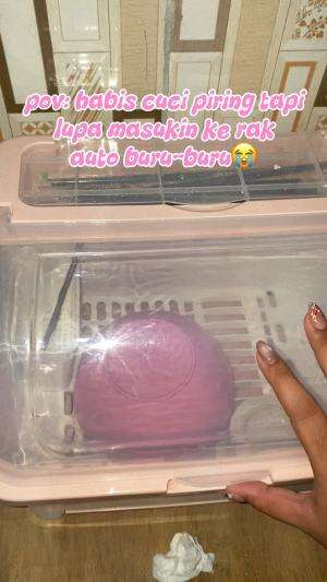 lupa banget belum di taro rak hehehe