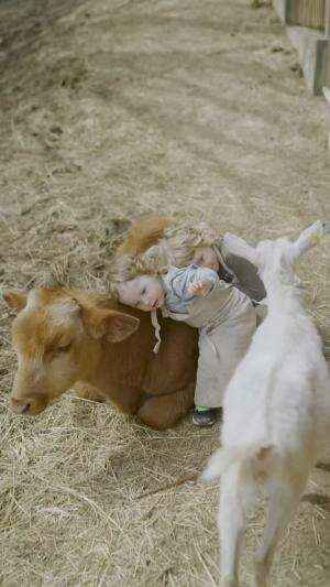 Sapi Rp 65 Miliar, Lebih Mahal dari Lamborghini! #FaktaUnik #SapiTermahal #IdulAdha2025 #HewanKurban #FaktaDunia #UnikTapiNyata #KontenEduka