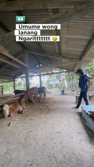 Umum ee wong lanang, hehehe ngaritttt  #kerja #kerjakeras #semangat #gigih #jedamergawe #fyp  #RCTIPlus  #HOTrctiplus  #RCTIoke  #rctioffici