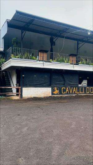 endurance berkuda #endurance#fyp