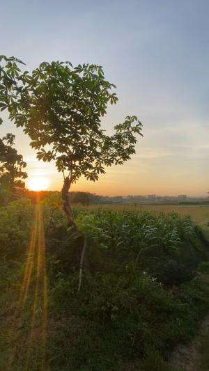 pov: bangun pagi di desa