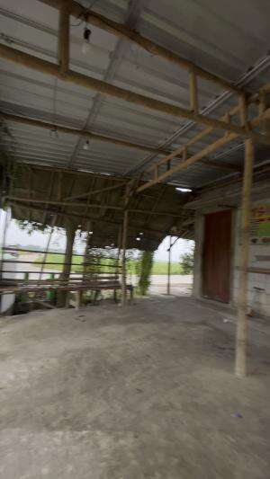 Warung tengah sawah jan syahdu tenan lurrr #warung #sawah #desa #pedesaan #Bojonegoro #rcti  #RCTIoke  #RCTIPlus  #rctiofficial  #icrcti 
