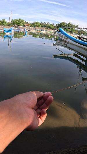 susah susah gampang #mancing #fishing #shrimp #udang #nelayan #laut #jaring #ikan #reelsviral #animals #skill #fyp #trending