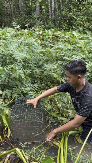 Ikan biawannya pada besar semua 