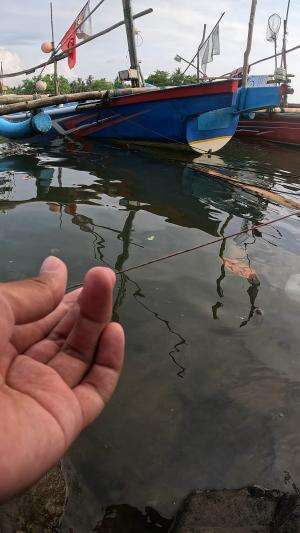 perhatikan ini cara mancing udang dengan gampang