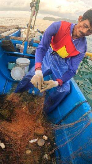 udang jerbung #udang #nelayan #laut #jaring #ikan #fbpro #reels #reelsviral #duniaikan #skils #fyp #trending