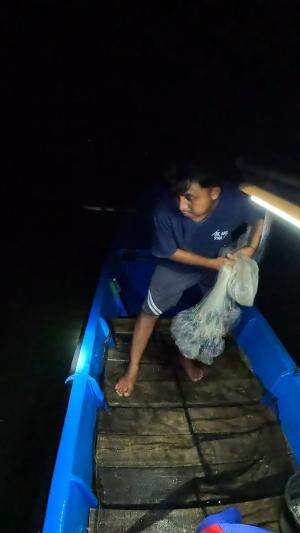 langsung lempar aja cuy