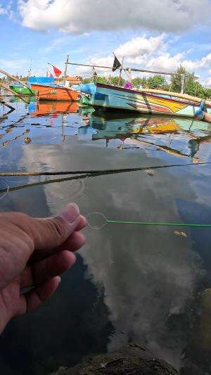 Shrimp Snare Secrets #fishing #shrimp #fish #sea #traditional #usareels #UnitedStates #reelsviral #skils #fyp #trending