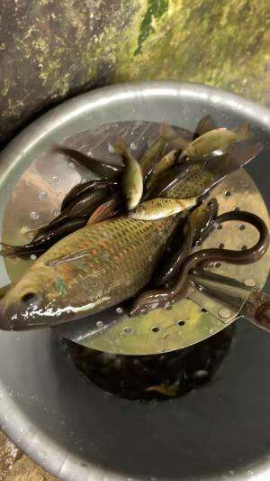 Kolam mini tiba tiba bocor