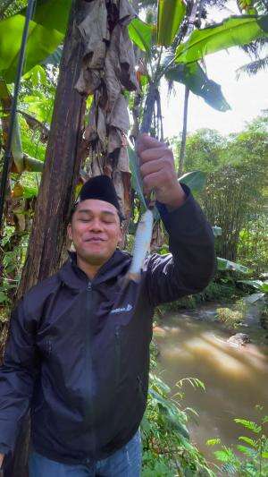 Pancing sampai patah mancing ikan disungai arus deras