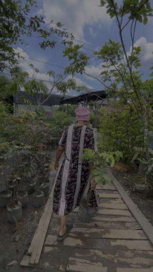 Beribu bibit tumbuhan disini