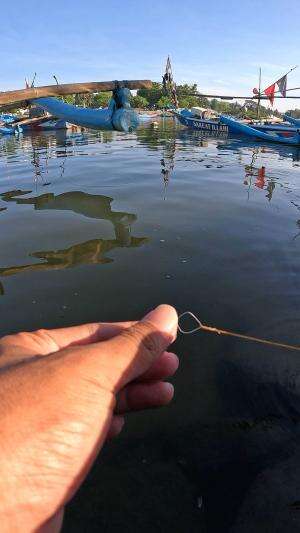 mancing udang cuman pake lidi sama serat pohon pisang 