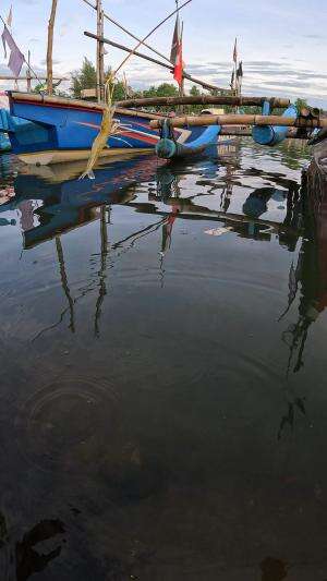 gk butuh waktu lama untuk menangkapnya #fishing #shrimp #fish #sea #traditional #usareels #UnitedStates #reelsviral #skils #fyp #trending