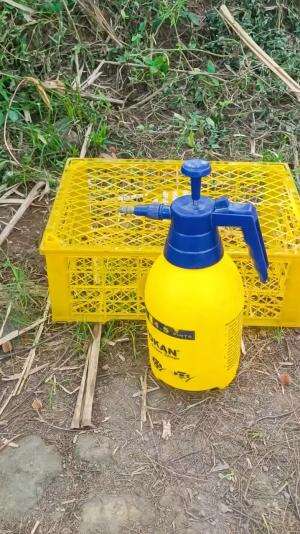 Aman, steril, sehat sampai tujuan si pemilik baru. Aamiin