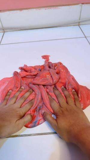 ya allah lindungi bilqis