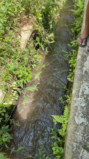 Mancing diselokan hasilnya diluar dugaan