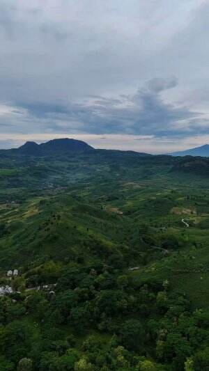 Info muncak tanggal 17 Agustus lurrr .., gunung pandan siap ki hehehe #drone  #dji  #Gunung  #Bojonegoro  #jedamergawe  #fyp  #RCTIPlus  #RC