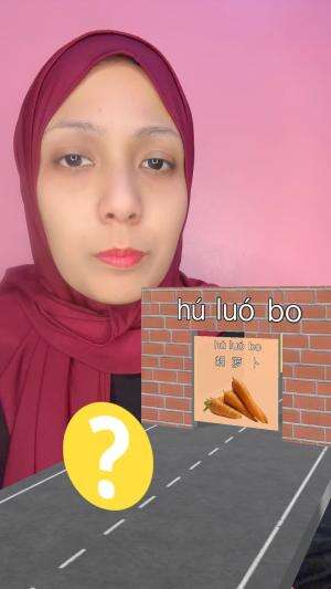 ORANG ARAB NEKAT MAIN FILTER BAHASA CHINA SAYUR