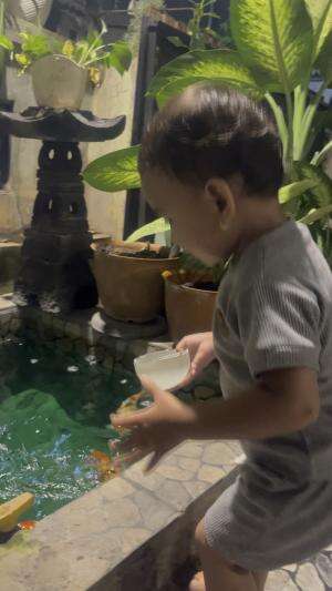 Noora kasih makan ikan koi  #NooraKhadijahAlKhered  #masyaallahtabarakallah  #RCTIPlus  #ikankoi  #creatorpro 