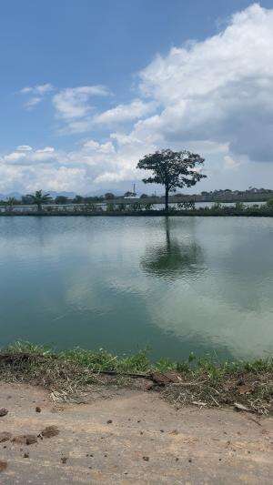 Beautiful view..so fresh..