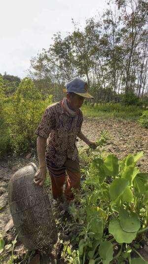 Cari ikan bersama bapak